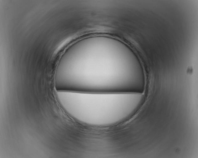 X0000113531163200909180953