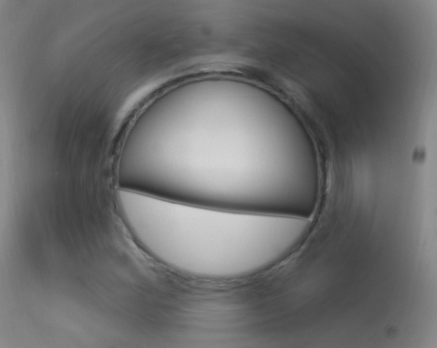 X0000113531164200909180953