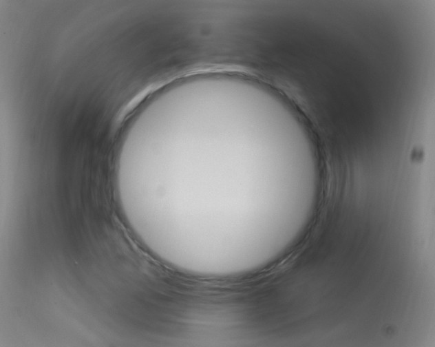 X0000113531165200909180953