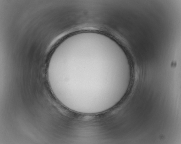 X0000113531166200909180953