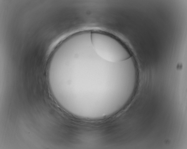 X0000113531167200909180953