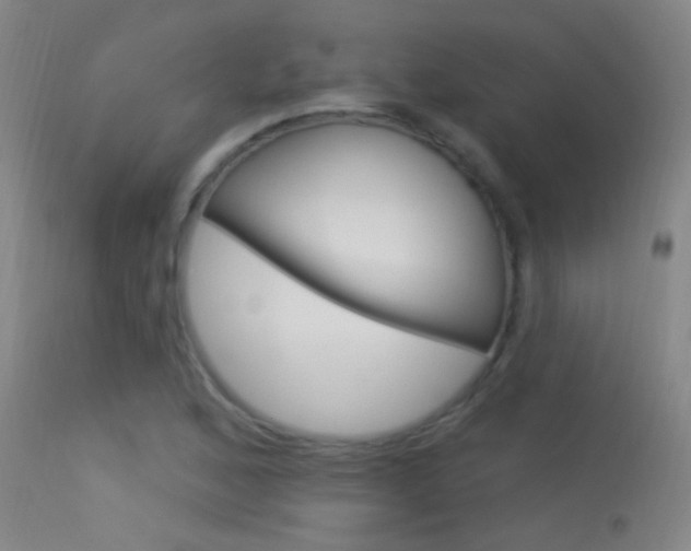 X0000113531168200909180953