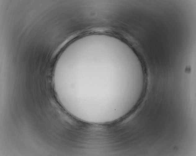 X0000113531170200909180953