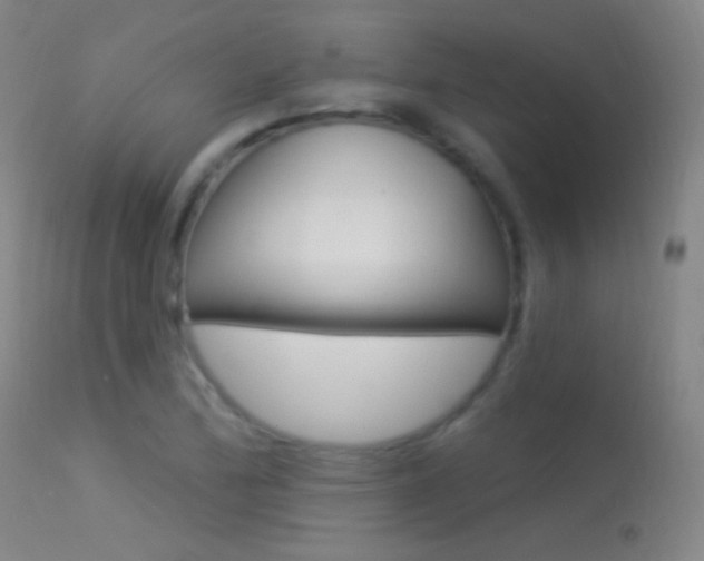 X0000113531172200909180953
