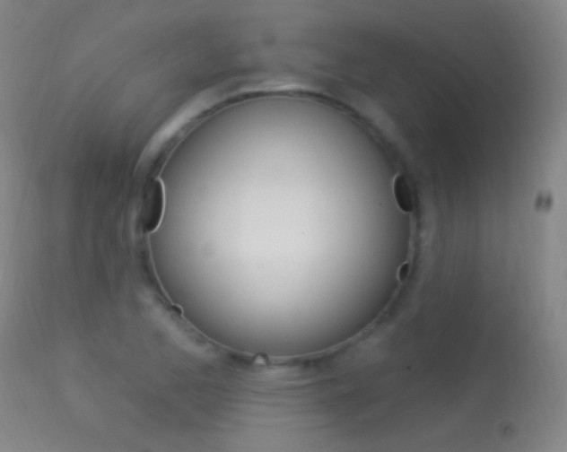 X0000113531173200909180953