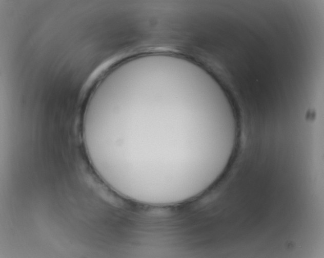 X0000113531174200909180953