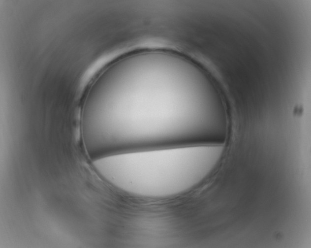 X0000113531175200909180953