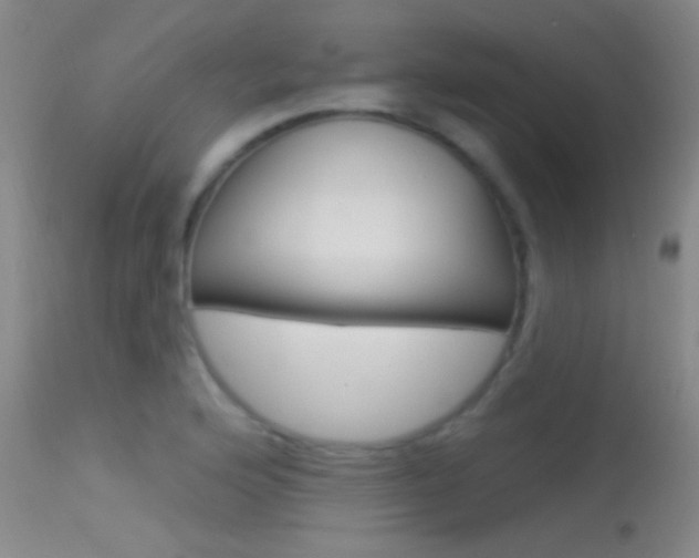 X0000113531176200909180953