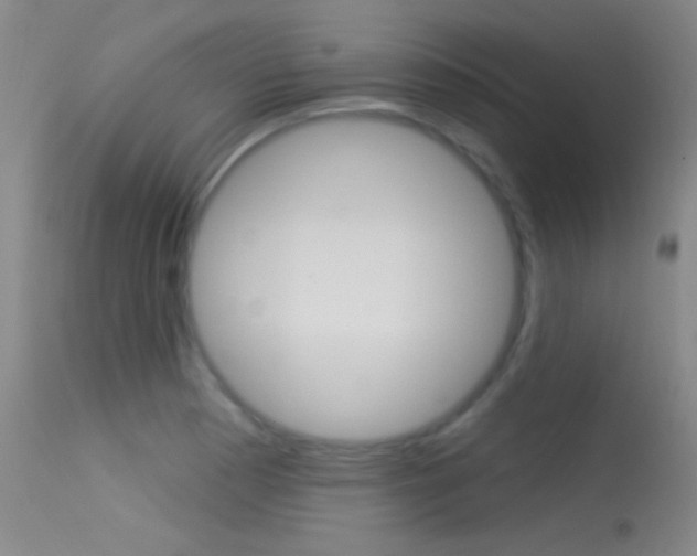 X0000113531177200909180953