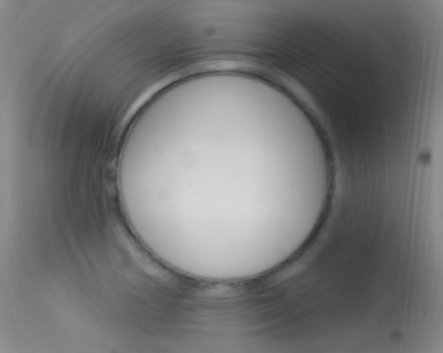 X0000113531178200909180953