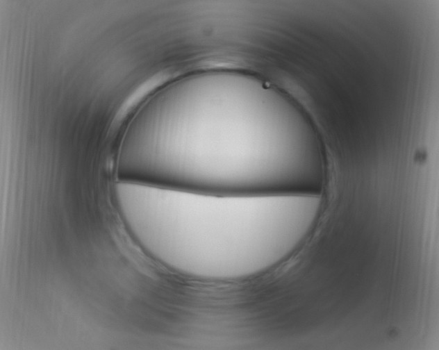 X0000113531179200909180953