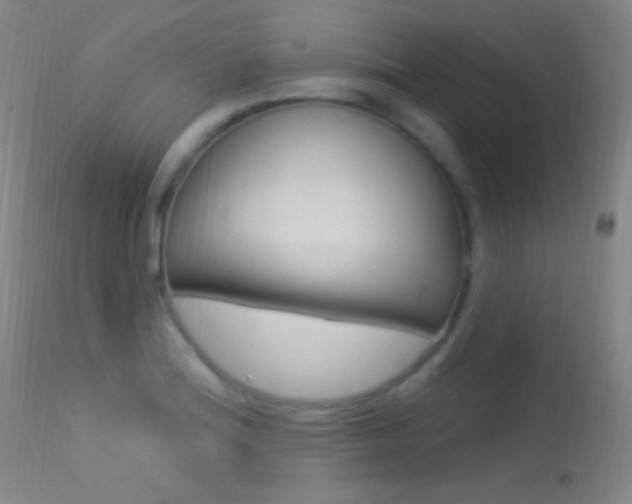 X0000113531180200909180953