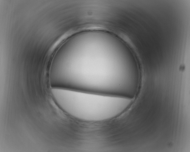 X0000113531181200909180953