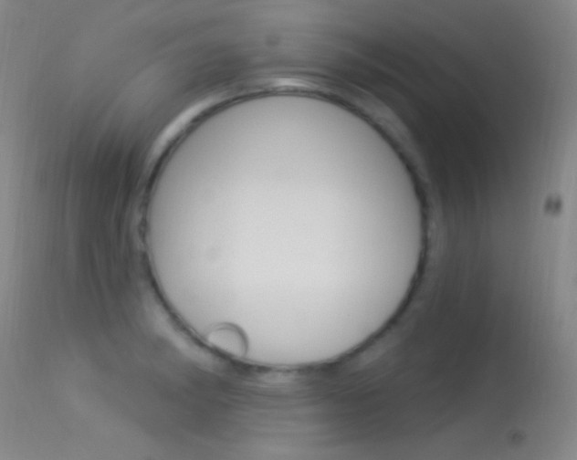 X0000113531182200909180953