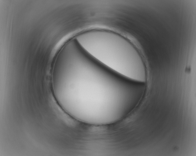 X0000113531183200909180953