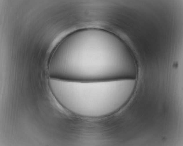 X0000113531184200909180953