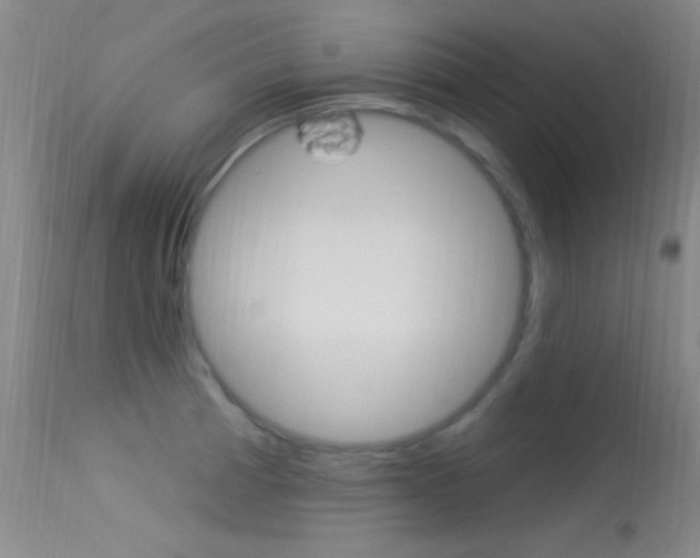 X0000113531185200909180953