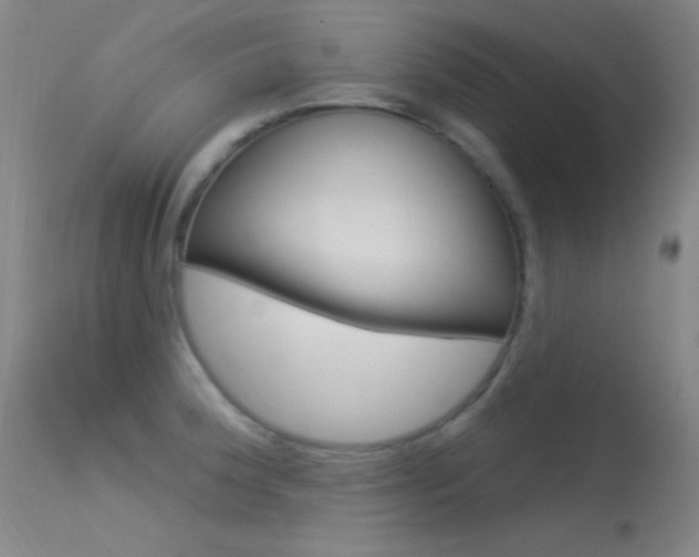 X0000113531188200909180953