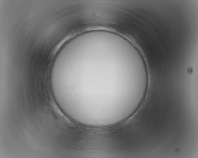 X0000113531189200909180953