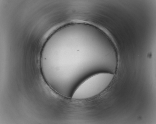 X0000113531191200909180953