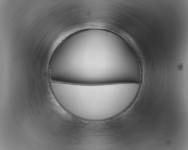 X0000113531192200909180953
