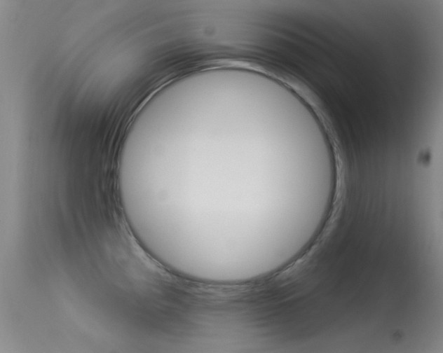 X0000113531193200909180953