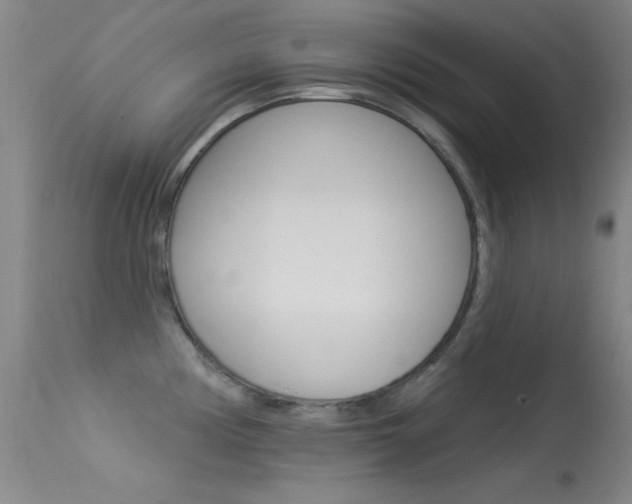 X0000113531194200909180953