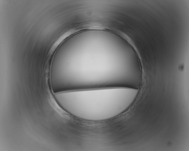 X0000113531195200909180953