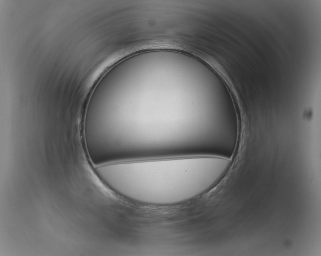 X0000113531197200909180953