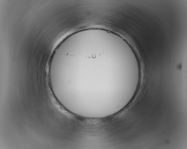 X0000113531198200909180953