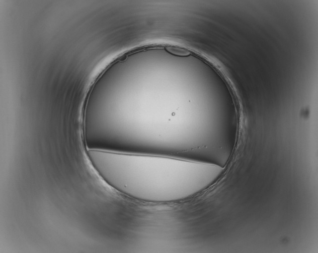 X0000113531199200909180953