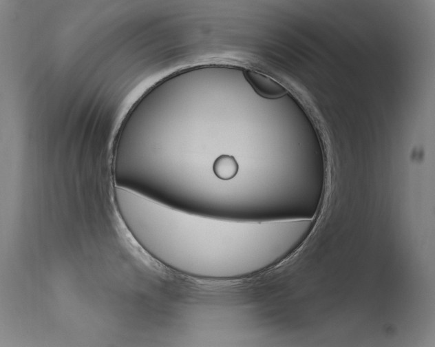 X0000113531200200909180953
