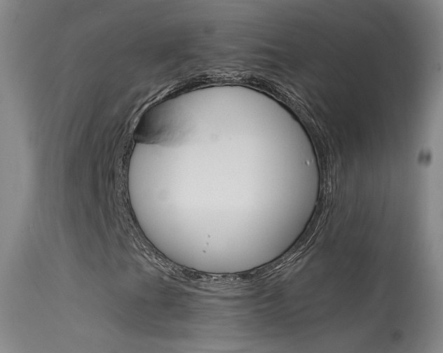 X0000113531201200909180952