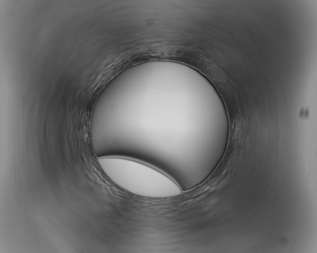 X0000113531202200909180952