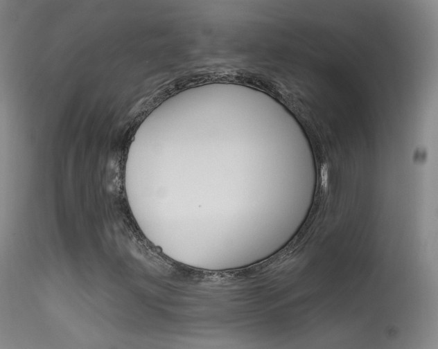 X0000113531203200909180952