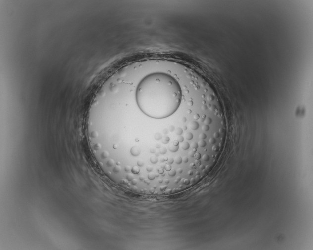 X0000113531205200909180952