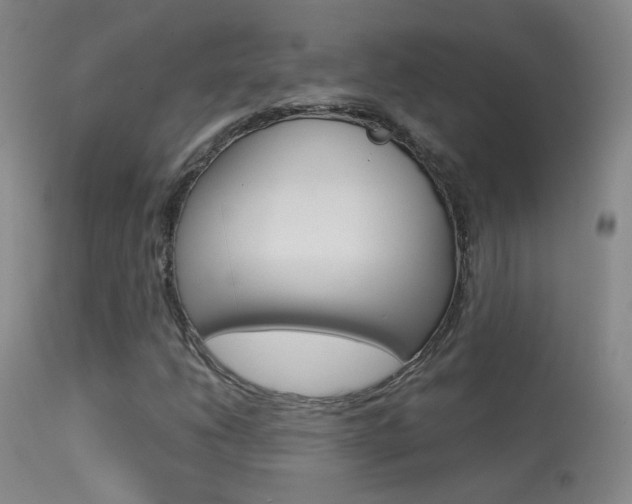 X0000113531206200909180952