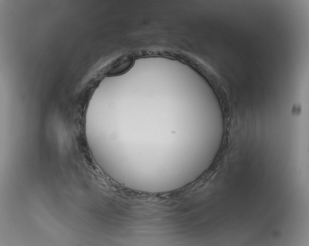 X0000113531207200909180952