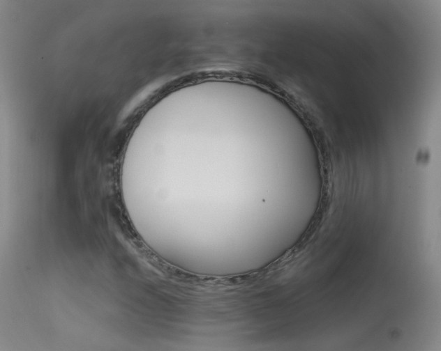 X0000113531208200909180952