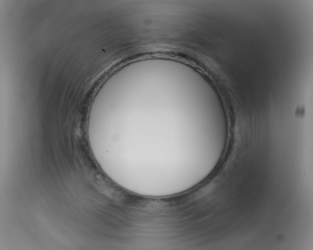 X0000113531209200909180952
