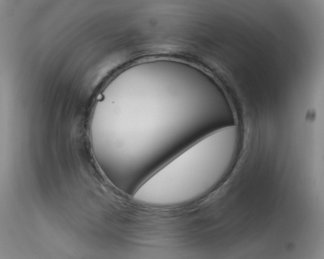 X0000113531210200909180952