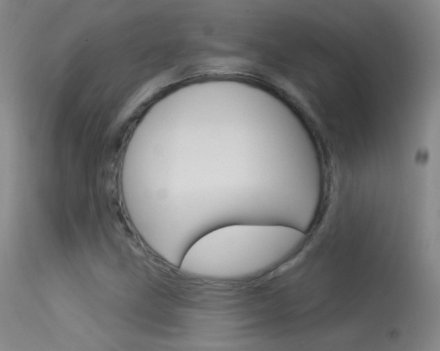 X0000113531211200909180952