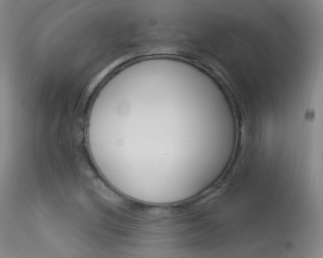 X0000113531212200909180952