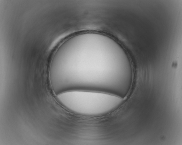 X0000113531214200909180952