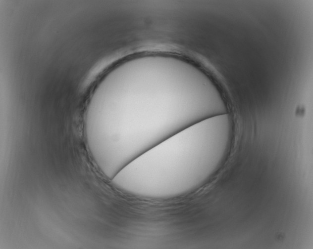 X0000113531215200909180952