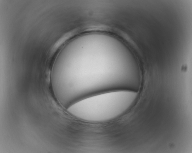 X0000113531221200909180952