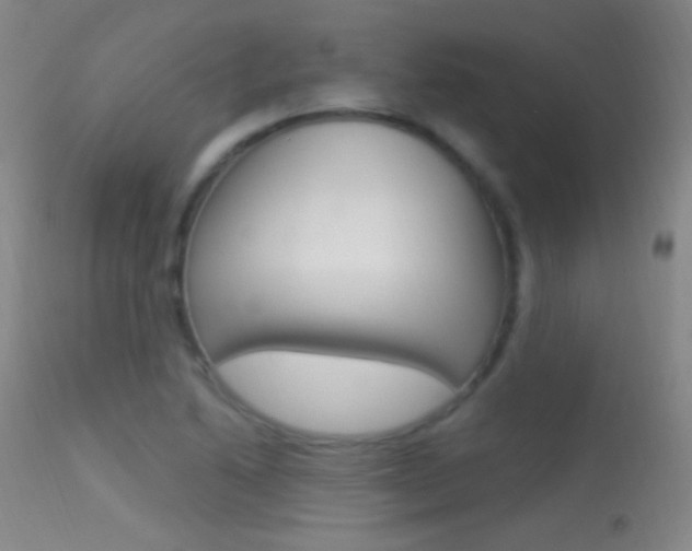 X0000113531222200909180952