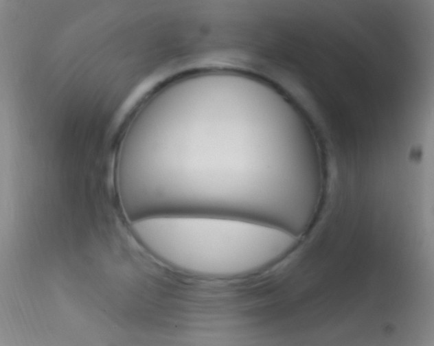 X0000113531224200909180952