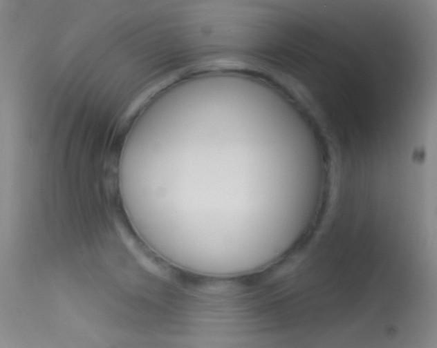 X0000113531225200909180952