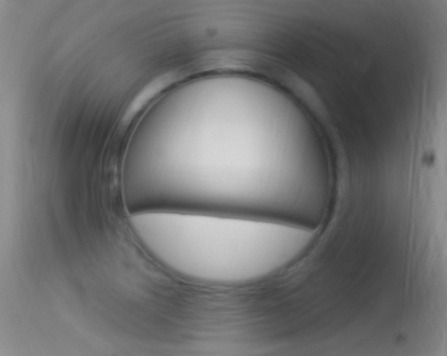 X0000113531226200909180952